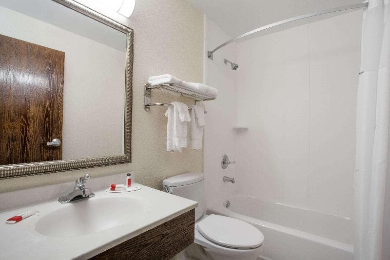 Super 8 by Wyndham College Park Washington DC Area 5