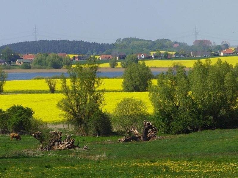 Van Der Valk Landhotel Spornitz 3