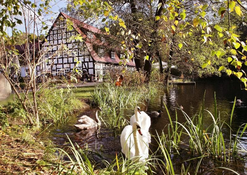 Springbach-Muhle Belzig 5