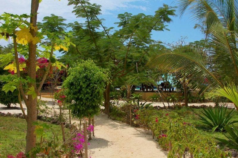 The Zanzibari Hotel photo 1