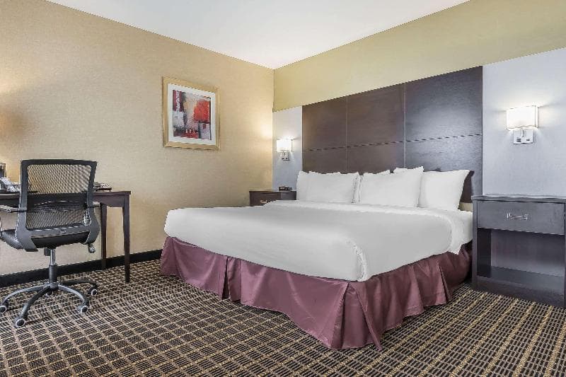 Quality Inn & Suites 4