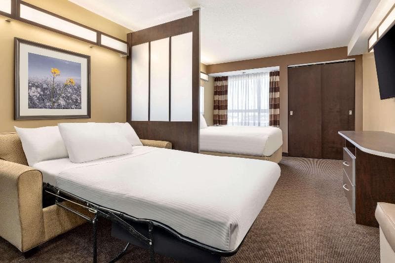 Microtel Inn & Suites By Wyndham Estevan 4