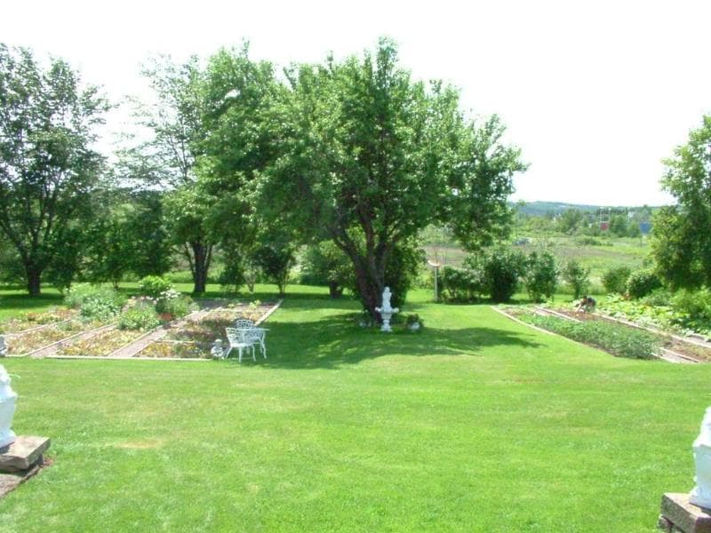 Marshlands Inn 3