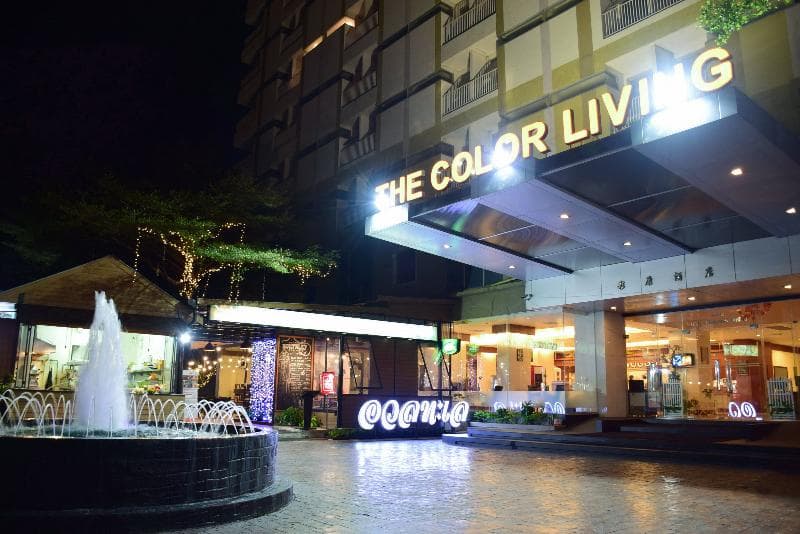 The Color Living photo 1