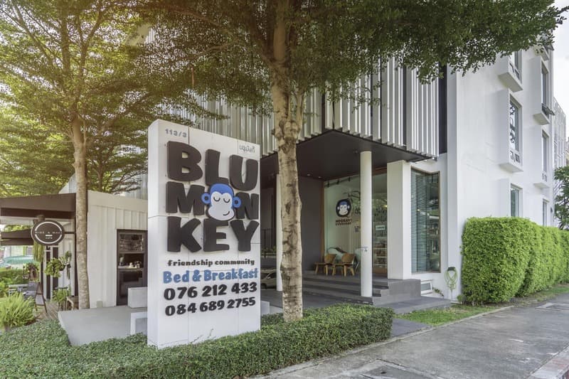 Blu Monkey Bed & Breakfast 4