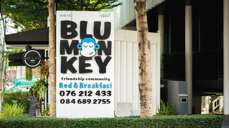 Blu Monkey Bed & Breakfast 5