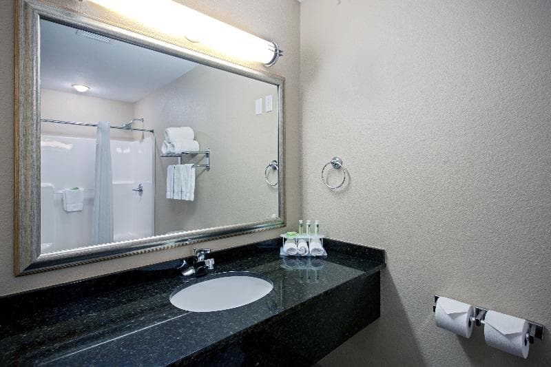Holiday Inn Express Hotel & Suites Green Bay East photo 1