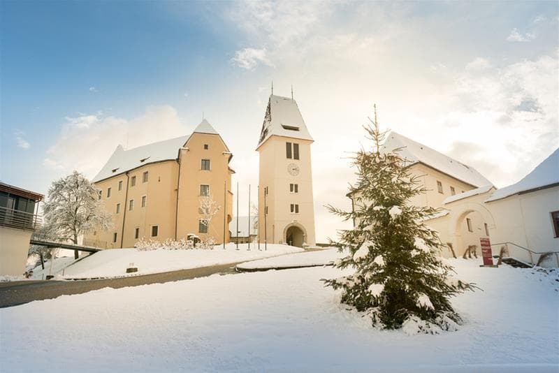 Schloss Seggau main