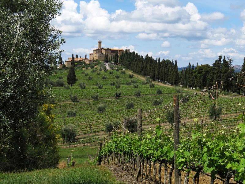 Castello Banfi Il Borgo 4