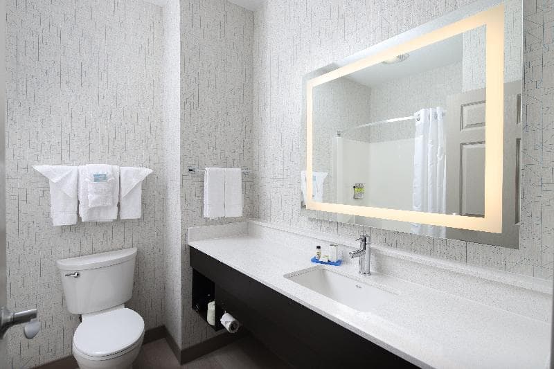 Holiday Inn Express Grand Rapids SW 3