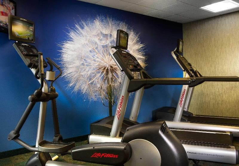Springhill Suites Dfw Airport North-Grapevine 2