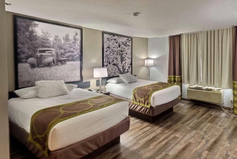 Super 8 By Wyndham Georgetown 3