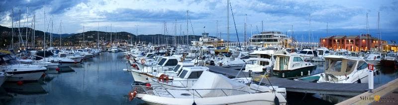 Excelsior 5
