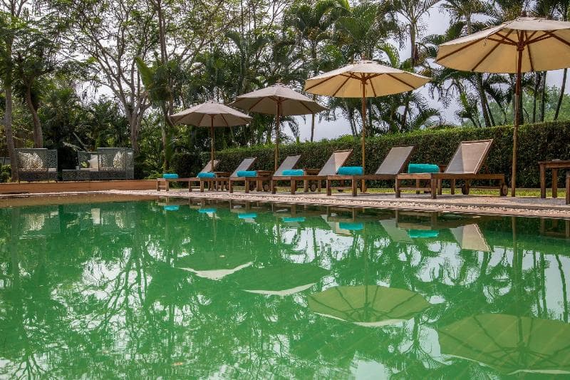 The Apsara Rive Droite photo 1