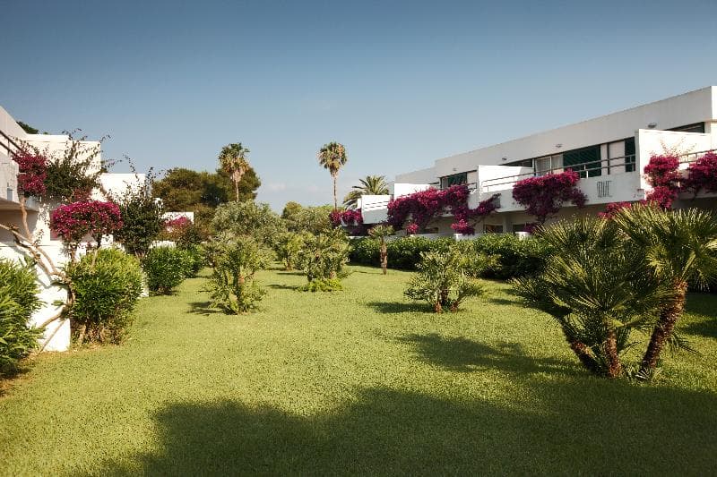 Robinson Apulia 5