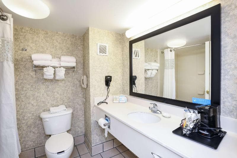 Hampton Inn Williamston 4