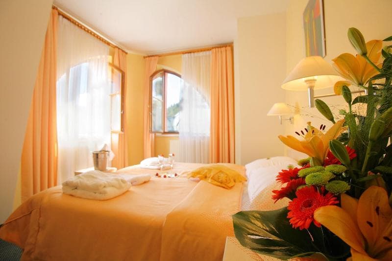 Hotel Ambiente Wellness & Spa Karlovy Vary 5