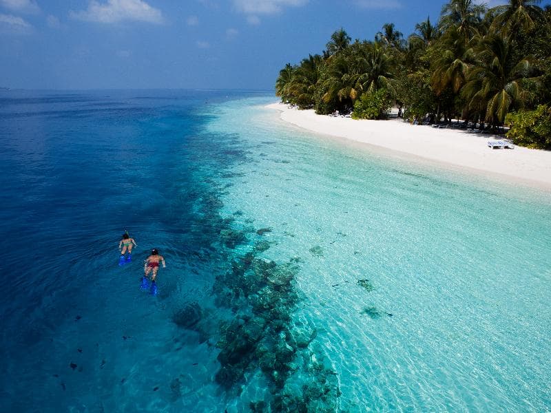 Vilamendhoo Island Resort & Spa 3