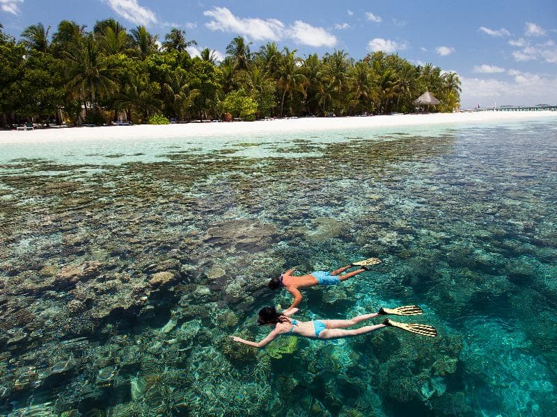 Vilamendhoo Island Resort & Spa 4