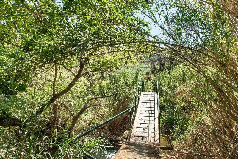 Estate Kares main