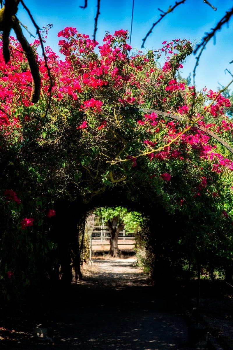Quinta Da Praia Das Fontes photo 1
