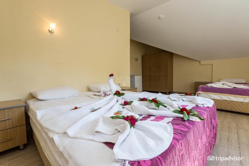 Tolay Hotel 2