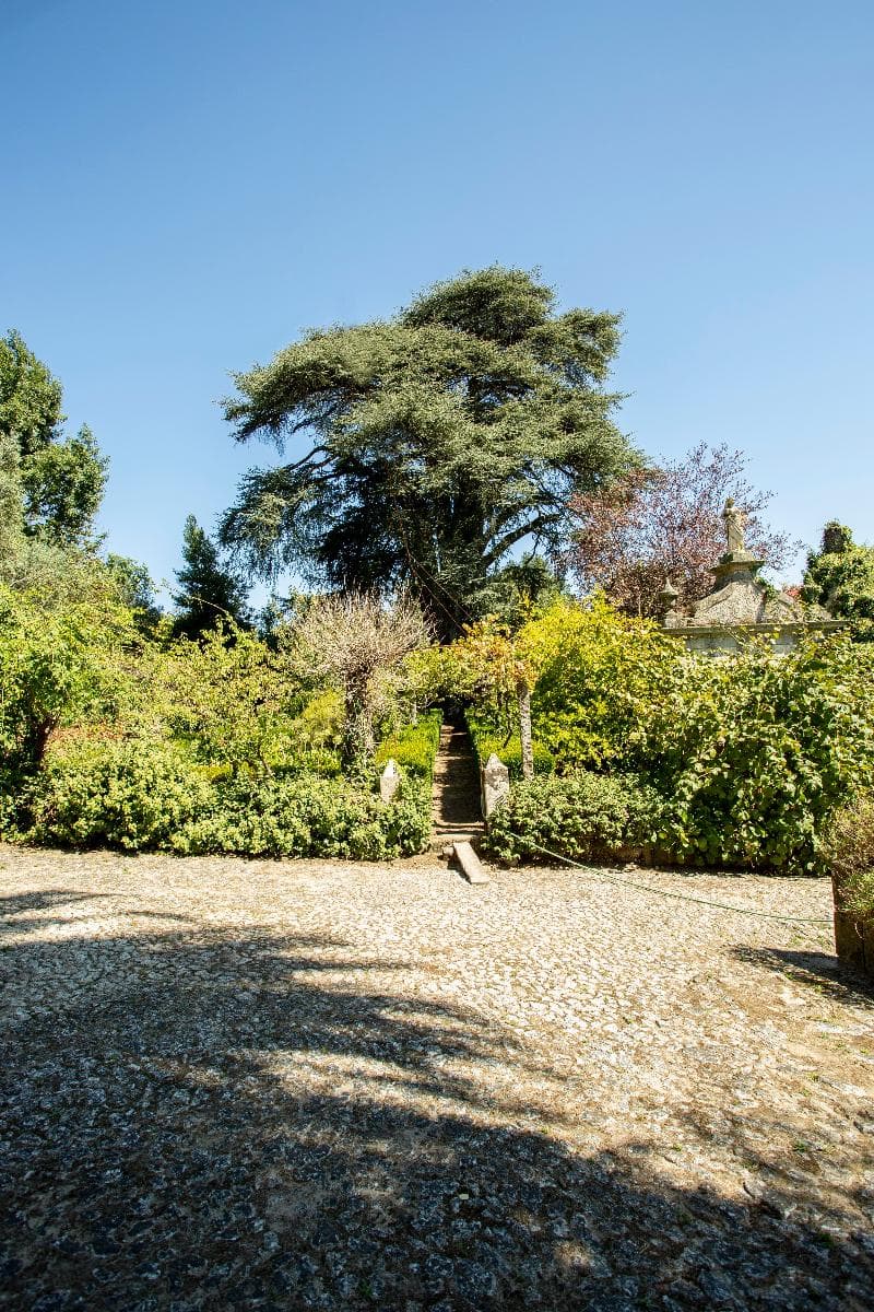 Quinta de São Caetano photo 1