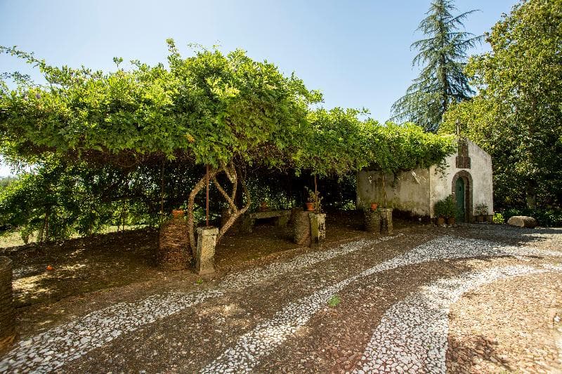 Quinta de São Caetano 3