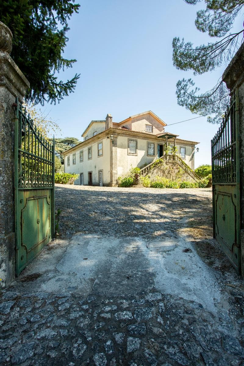 Quinta de São Caetano 4