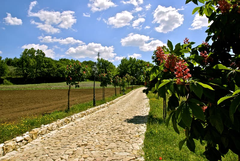 La Pampa Relais 2