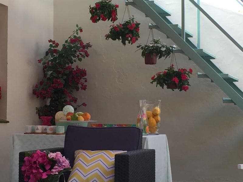 Hostal Jardin de la Alameda 4