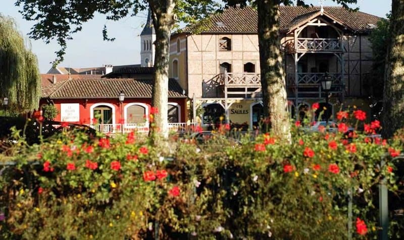 Hotel Les Saules, Parc & Spa main