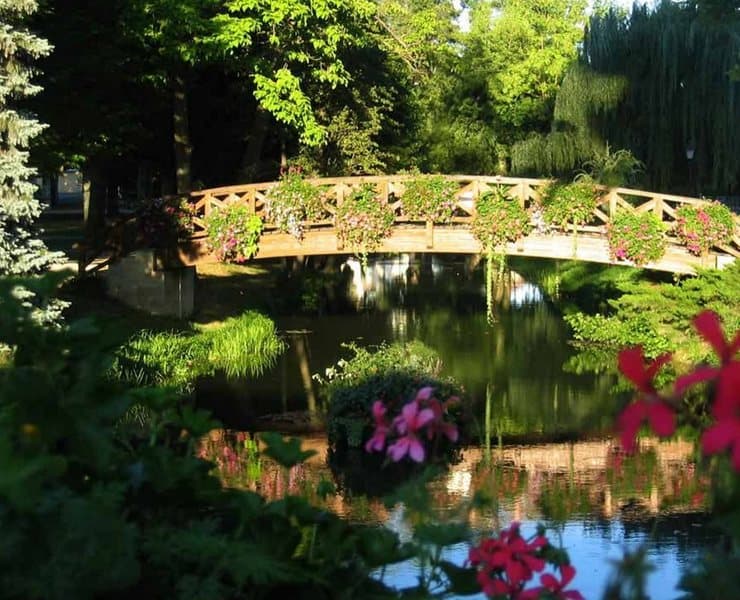Hotel Les Saules, Parc & Spa photo 1