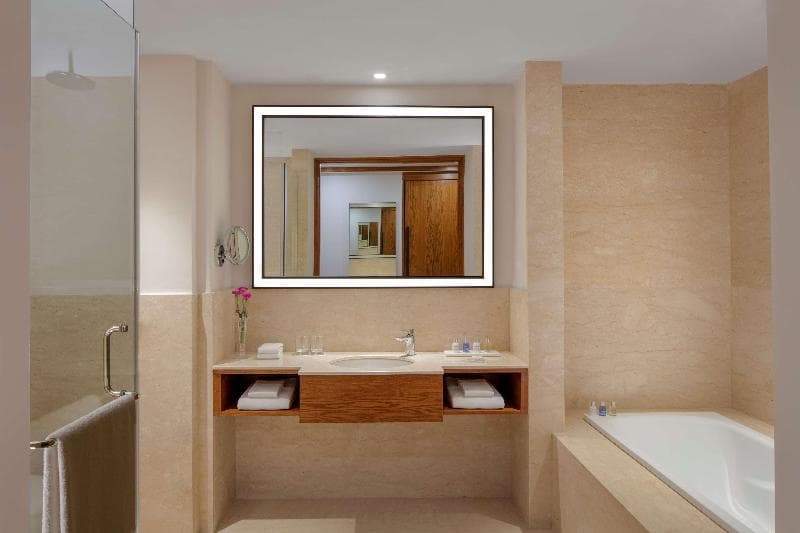 Radisson Blu Plaza Hotel Mysore 4