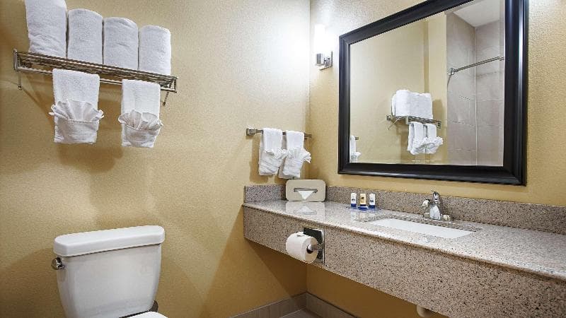 Best Western Plus Fort Worth Forest Hill Inn & Suites 5