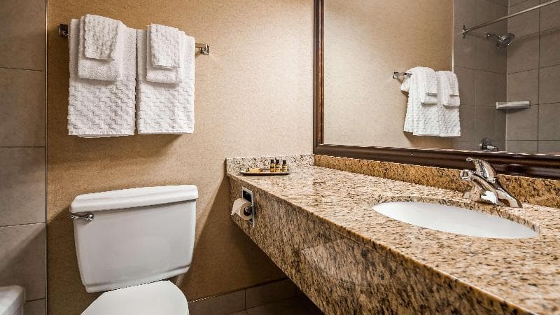Best Western Plus NorWester Hotel & Conference Centre 2