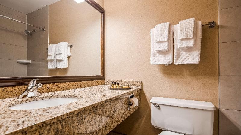 Best Western Plus NorWester Hotel & Conference Centre 4