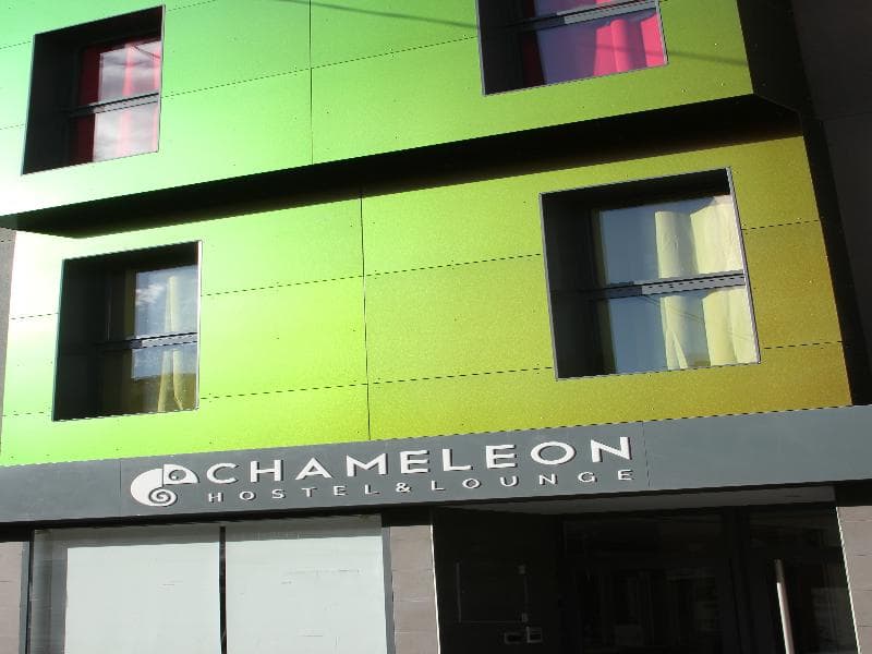 Chameleon Hostel & Lounge photo 1