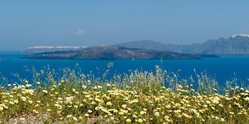 Earino Suites & Villas 4