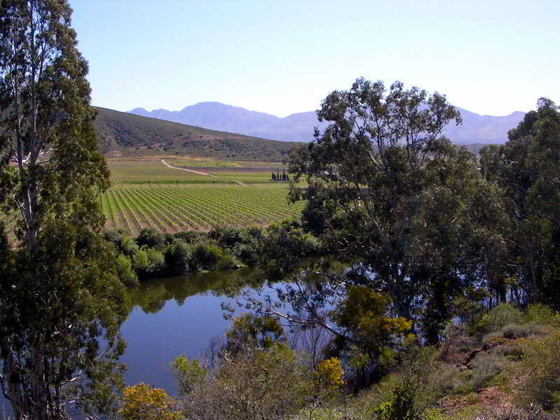 Gubas De Hoek 4