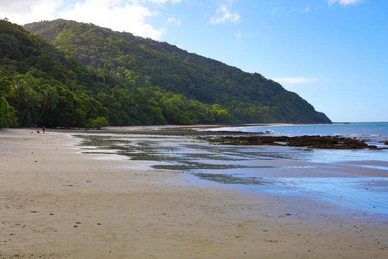 Cape Tribulation Beach House Resort 2