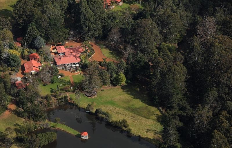 Forest Lodge Resort photo 1