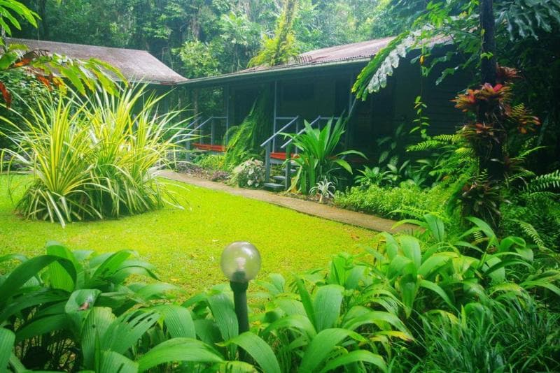 Heritage Lodge In The Daintree 5