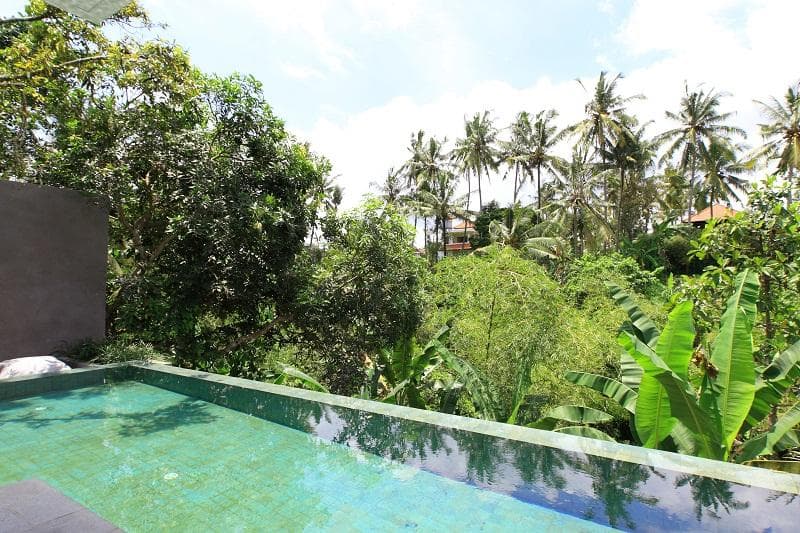 Aria Villas Ubud 2
