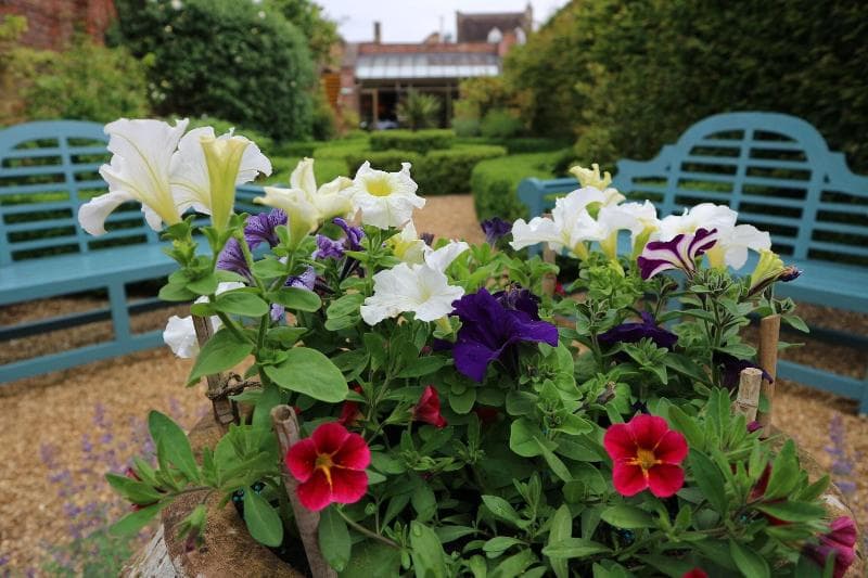 The Manor House Hotel 3