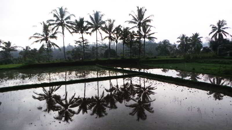 Villa Kemuning 3