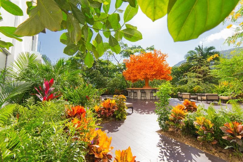 Hotel Mousai Puerto Vallarta Adults Only 3