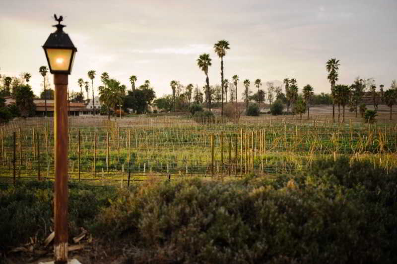 Hotel Boutique Rancho Tecate 5