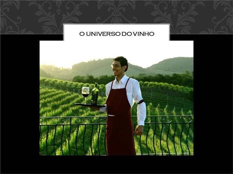 Hotel & Spa Do Vinho, Autograph Collection (Adults Only) 2