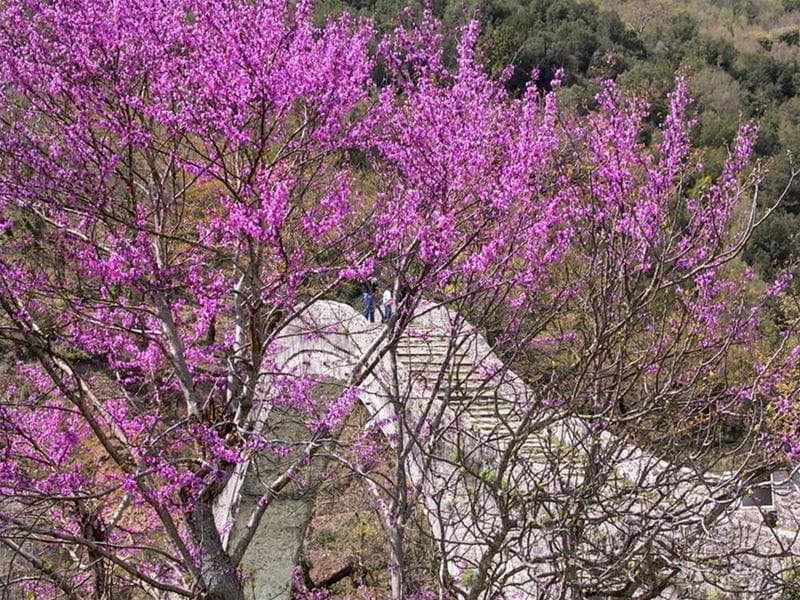 Anavasi Mountain Resort Ioannina 4
